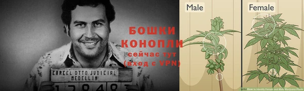 каннабис Бородино
